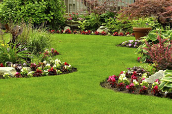 landscaping & lawn cares in San Antonio Heights