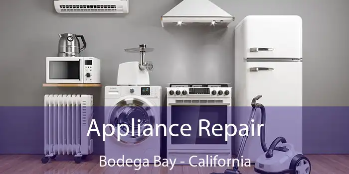 Appliance Repair Bodega Bay - California