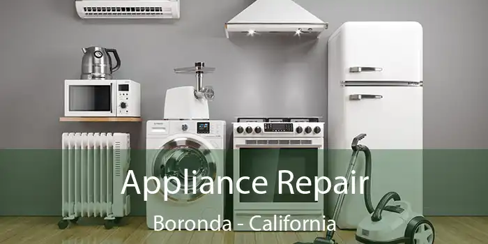 Appliance Repair Boronda - California