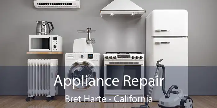 Appliance Repair Bret Harte - California