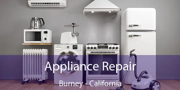 Appliance Repair Burney - California