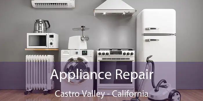 Appliance Repair Castro Valley - California