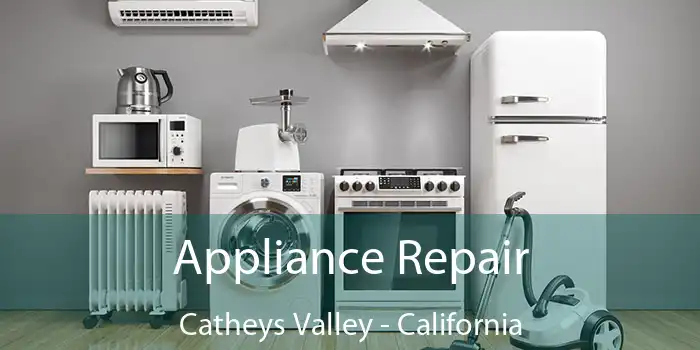 Appliance Repair Catheys Valley - California