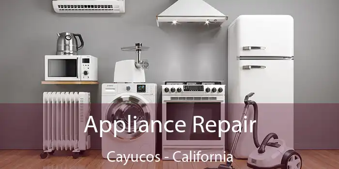 Appliance Repair Cayucos - California