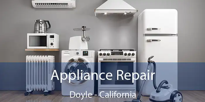 Appliance Repair Doyle - California