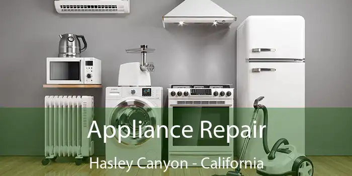 Appliance Repair Hasley Canyon - California