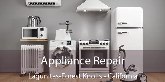 Appliance Repair Lagunitas-Forest Knolls - California