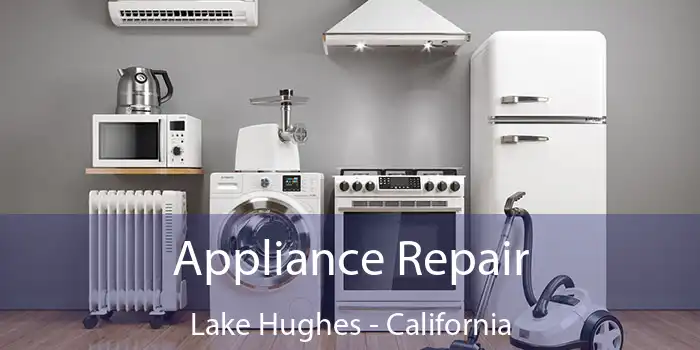 Appliance Repair Lake Hughes - California