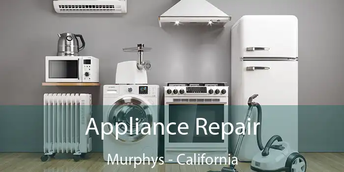 Appliance Repair Murphys - California