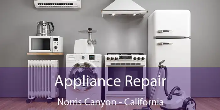 Appliance Repair Norris Canyon - California