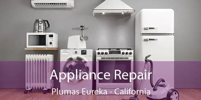 Appliance Repair Plumas Eureka - California