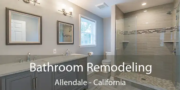 Bathroom Remodeling Allendale - California