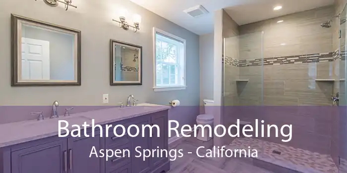 Bathroom Remodeling Aspen Springs - California