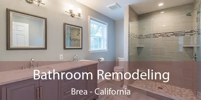 Bathroom Remodeling Brea - California