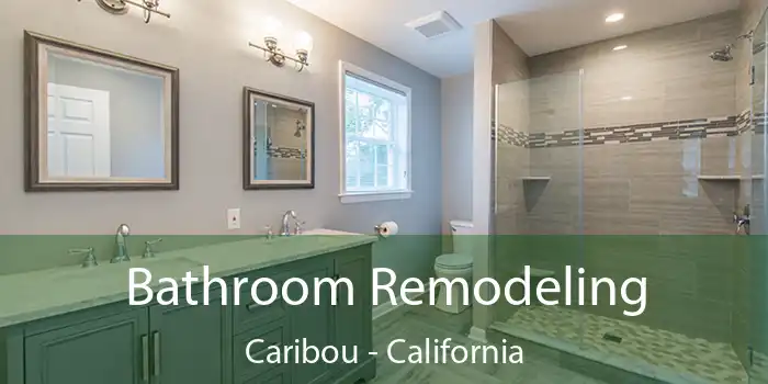 Bathroom Remodeling Caribou - California