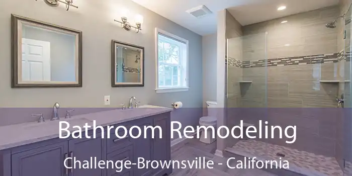 Bathroom Remodeling Challenge-Brownsville - California