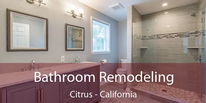 Bathroom Remodeling Citrus - California