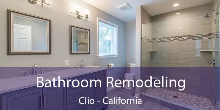 Bathroom Remodeling Clio - California