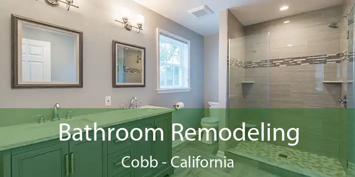 Bathroom Remodeling Cobb - California