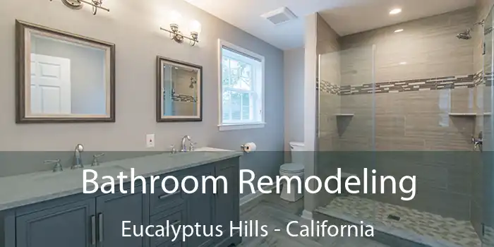 Bathroom Remodeling Eucalyptus Hills - California