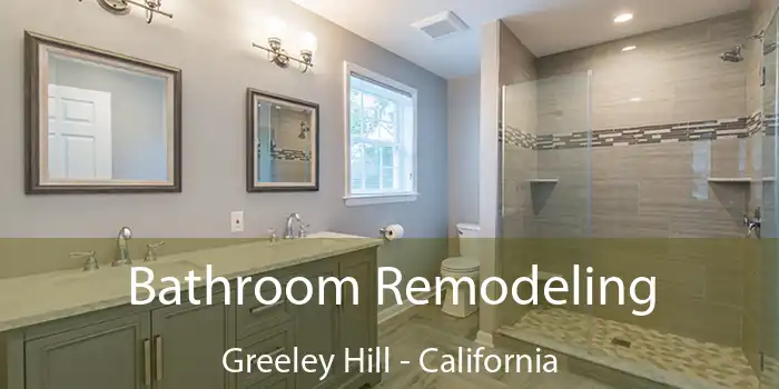 Bathroom Remodeling Greeley Hill - California