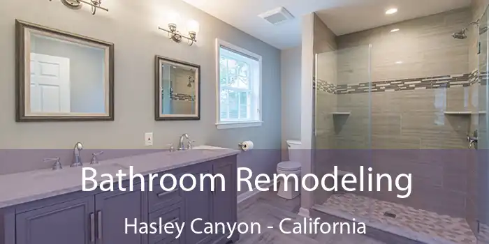 Bathroom Remodeling Hasley Canyon - California