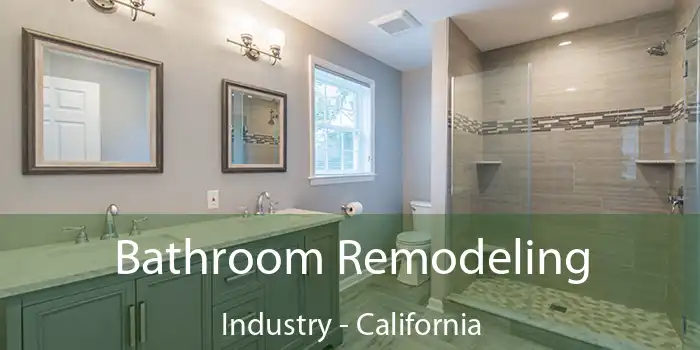 Bathroom Remodeling Industry - California