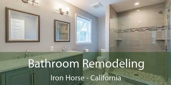 Bathroom Remodeling Iron Horse - California