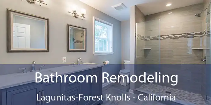 Bathroom Remodeling Lagunitas-Forest Knolls - California