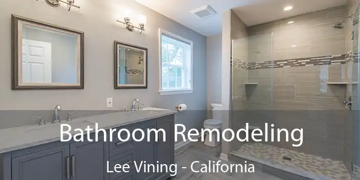 Bathroom Remodeling Lee Vining - California