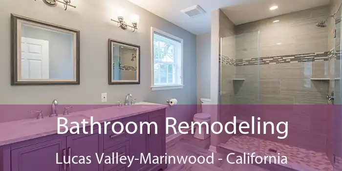 Bathroom Remodeling Lucas Valley-Marinwood - California