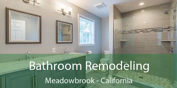 Bathroom Remodeling Meadowbrook - California