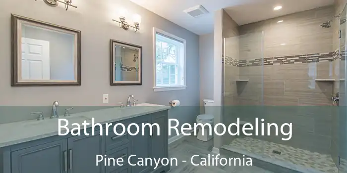 Bathroom Remodeling Pine Canyon - California