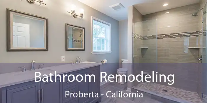 Bathroom Remodeling Proberta - California