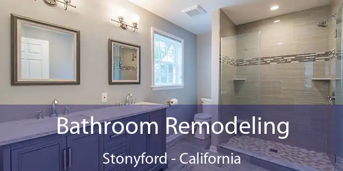 Bathroom Remodeling Stonyford - California