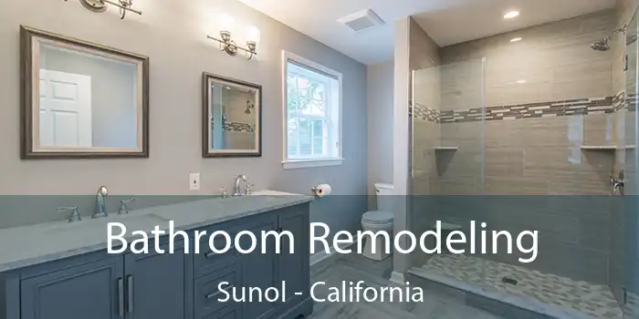 Bathroom Remodeling Sunol - California