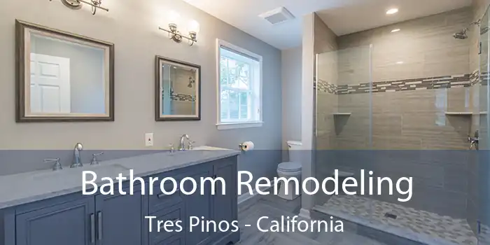 Bathroom Remodeling Tres Pinos - California