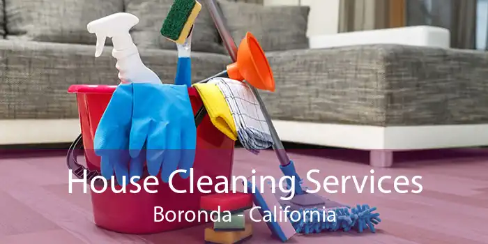 House Cleaning Services Boronda - California