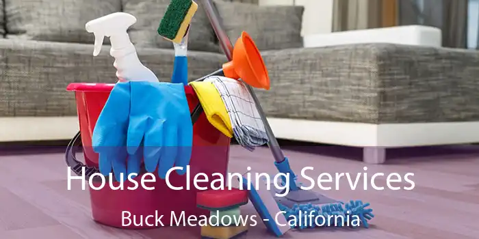 House Cleaning Services Buck Meadows - California