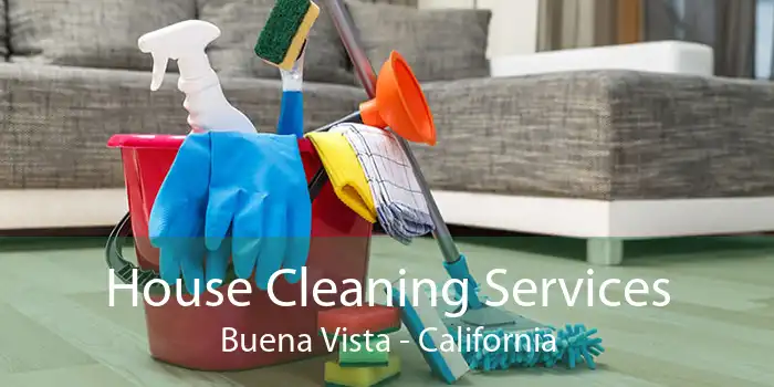 House Cleaning Services Buena Vista - California