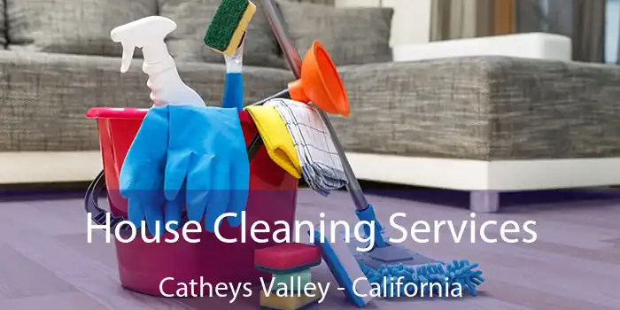 House Cleaning Services Catheys Valley - California