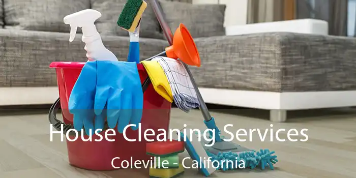 House Cleaning Services Coleville - California