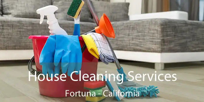 House Cleaning Services Fortuna - California