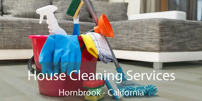 House Cleaning Services Hornbrook - California