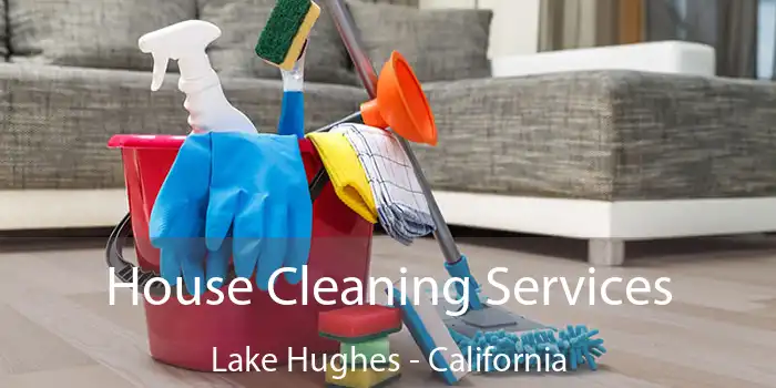 House Cleaning Services Lake Hughes - California