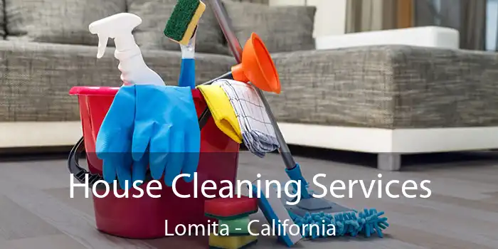 House Cleaning Services Lomita - California