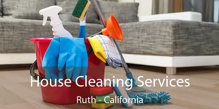 House Cleaning Services Ruth - California