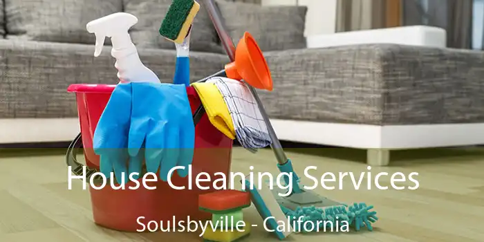 House Cleaning Services Soulsbyville - California