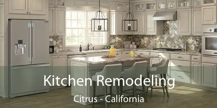 Kitchen Remodeling Citrus - California