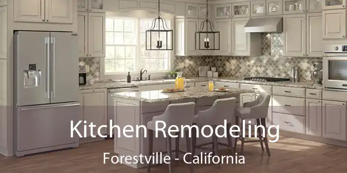 Kitchen Remodeling Forestville - California